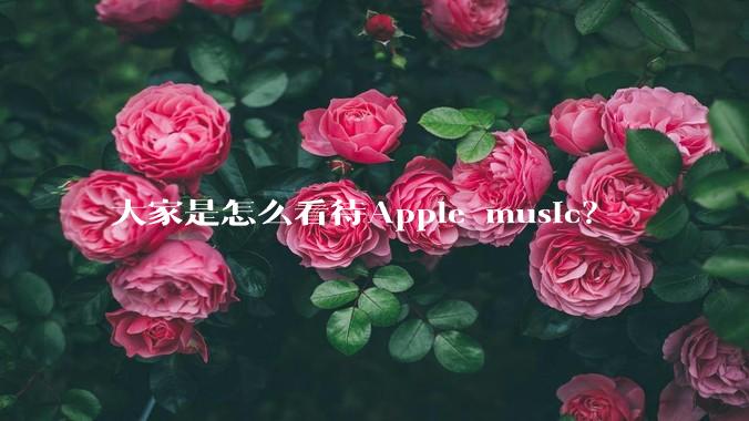 大家是怎么看待Apple music？
