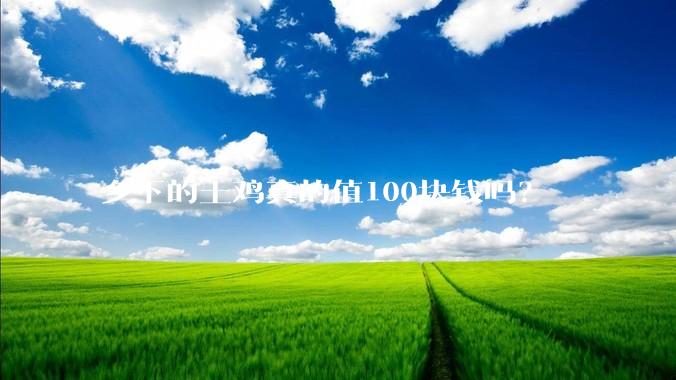 乡下的土鸡真的值100块钱吗？
