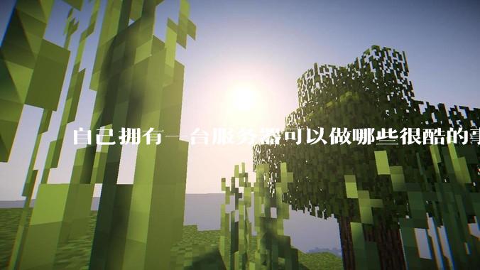 自己拥有一台服务器可以做哪些很酷的事情？