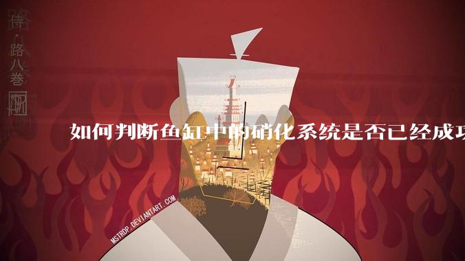 如何判断鱼缸中的硝化系统是否已经成功建立？