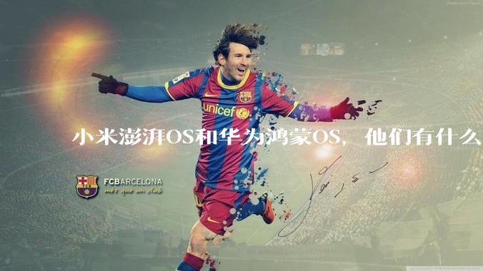 小米澎湃OS和华为鸿蒙OS，他们有什么不一样，谁更有发展前途？