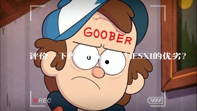 评价一下Proxmox VE与ESXi的优劣？